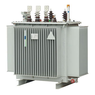 Transformator van de S1110kv 0.4KV 1600KVA de Olie Ondergedompelde Macht