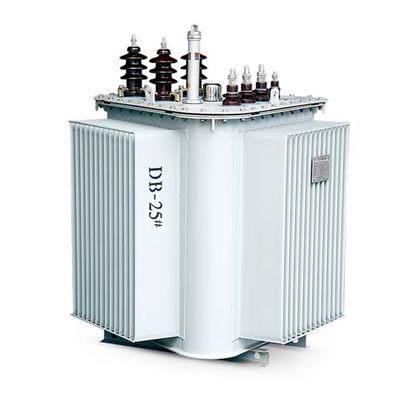 Olie Ondergedompelde Distributietransformator 10kv
