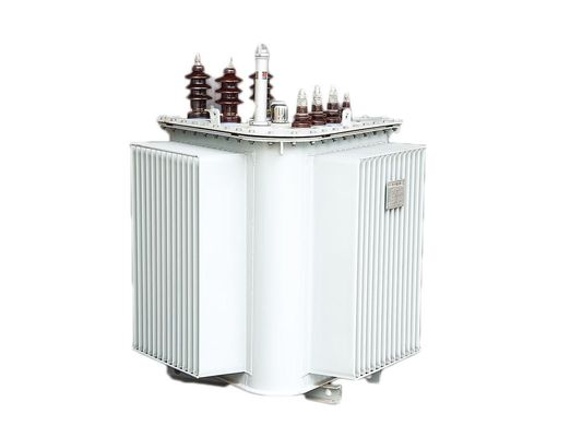 De Olietransformator In drie stadia 250 Kva 3 van 315KVA 630KVA Fasetransformator